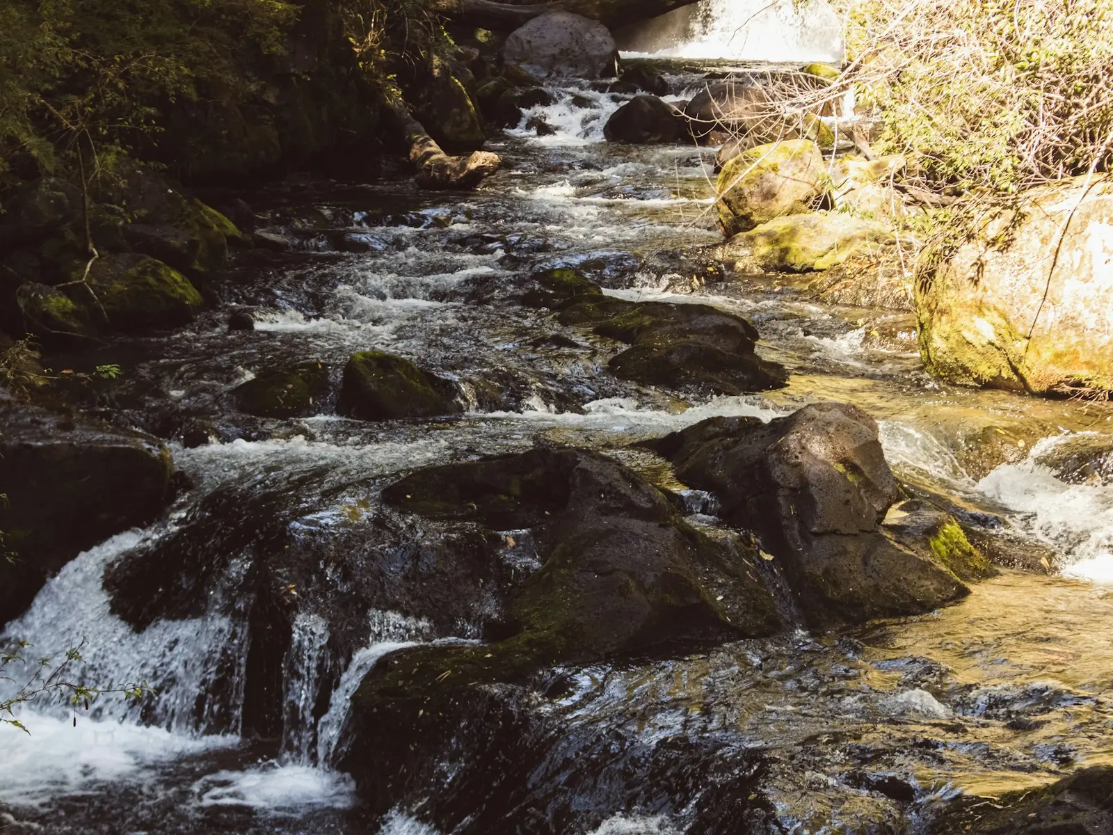 Cauce natural rocoso con escurrimiento en Puyehue, Chile